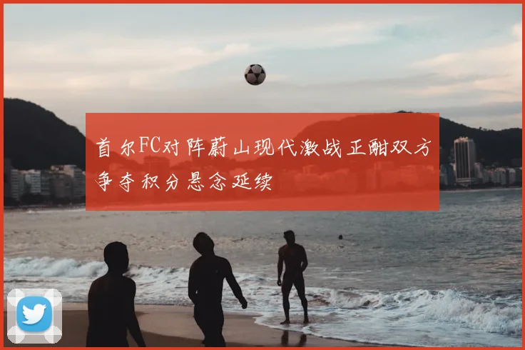 首尔FC对阵蔚山现代激战正酣双方争夺积分悬念延续