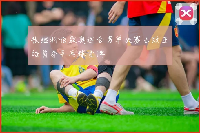 张继科伦敦奥运会男单决赛击败王皓首夺乒乓球金牌