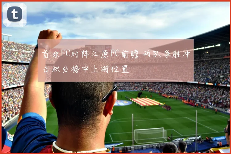 首尔FC对阵江原FC前瞻 两队争胜冲击积分榜中上游位置