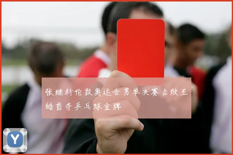 张继科伦敦奥运会男单决赛击败王皓首夺乒乓球金牌