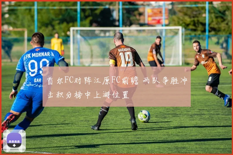首尔FC对阵江原FC前瞻 两队争胜冲击积分榜中上游位置